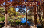 Autumn Frame, the Garden of Morning Calm