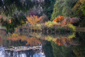 Autumn at Thorp Perrow Arboretum