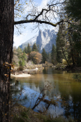 autumn colour in Yosemite