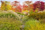 Autumn in the Paradise Garden