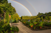 Autumn storm at Alnwick Gardens