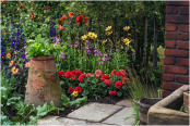 Dahlias and vegetables in 'The Watchmaker's Garden'