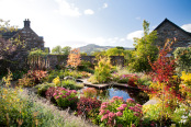 Planting around Mirror Pool