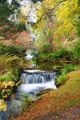 Waterfall in Autumn at Stobo