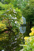 Pond Reflection, Corsock House garden