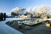 Hoar Frost, Lanton Tower