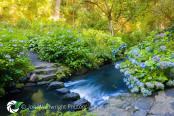 Stepping Stones in a Fast Stream