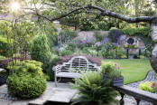 Early light in a Lancashire garden 