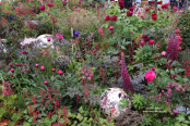 RHS Chelsea Flower Show 2014