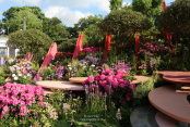 RHS Chelsea Flower Show 2017