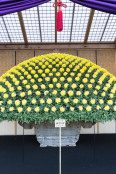 Chrysanthemum Exhibition, Tokyo