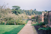 Kitchen Walled Garden