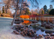 Fire and Ice in the Savill Garden