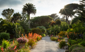 Tresco Abbey Gardens
