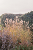 Mid-afternoon autumnal light