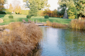 Garden swimming Pool