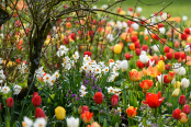 April afternoon, Forde Abbey