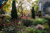 Bishop's Palace, autumn afternoon