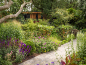 Lush June planting