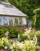 Greenhouse in summer