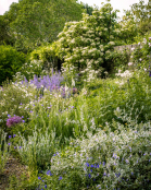 Early June border
