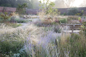 The Paradise garden at RHS Bridgewater 