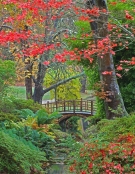 Japanese style bridge over water