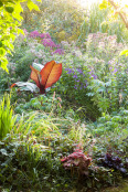 Dawn in a Wildlife Garden