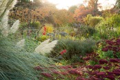 Dusk in an autumnal garden 