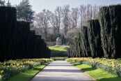 The Yew Tree Walk in early spring
