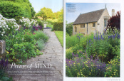 The English Garden - July 2025