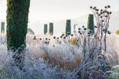 Frosty Dawn in the Italian Garden