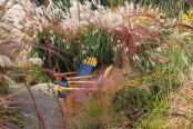 Private Grass Garden