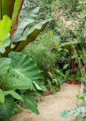 Great Dane Sized Garden