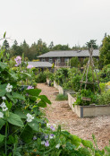 Allotment