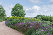 American Gardens