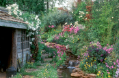 Gorgeous lush spring wildlife garden