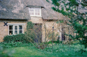 Pretty Cottage Front Garden