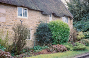 Thatched Cottage