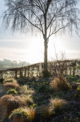 Frosty sunrise in Dorset