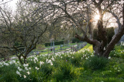 Late afternoon at The Old Rectory, Dorset