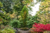 Autumn at The Picton Garden