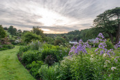 Perennial border at sunrise