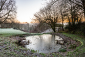 Frozen pond at sunrise