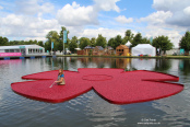 RHS Hampton Court Palace Flower Show 2014