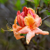 Here we go again Spring is in the air