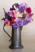 Heritage Sweet Peas