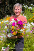 Sue Beesley in the Higgledy Garden Cut Flower Patch