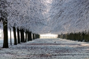 Ice Tunnel