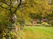 Autumn Colours at Hodges Barn